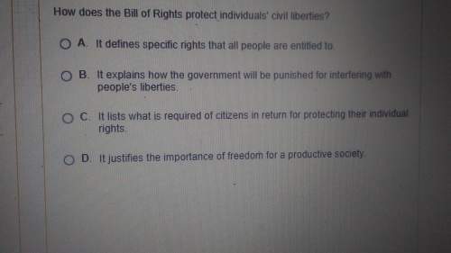 How does the bill of rights protect individuals civil liberties
