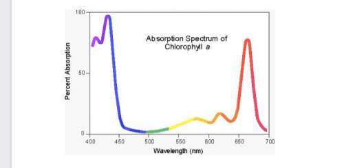 Refer the the graph below showing the absorption spectrum of chlorophyll a. explain what the graph i