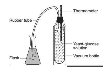 "in the experimental setup below, which substance would be used to prove that the gas produced by th