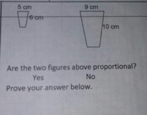 Are they proportional? why or why not?