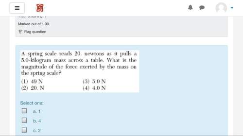 What is the magnitude of the force excepted by the mass on the spring scale?