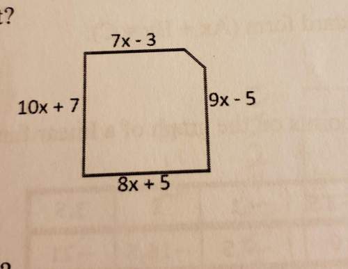 What is the perimeter of the figure shown above