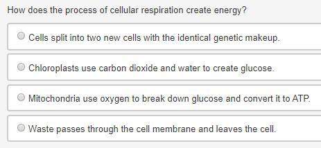 How does the process of cellular respiration create energy?