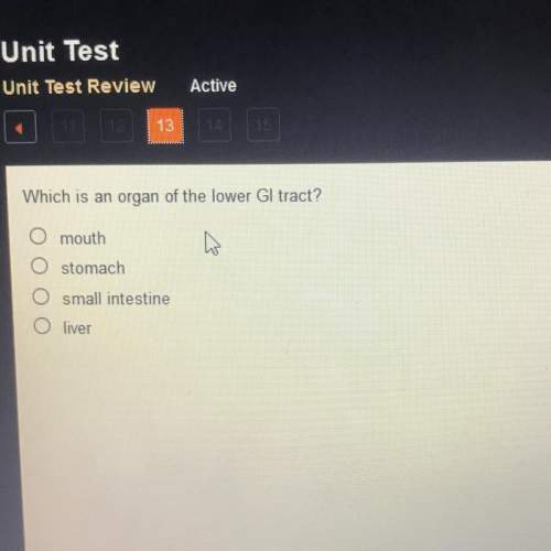 13.plz be fast and correct and it’s health class