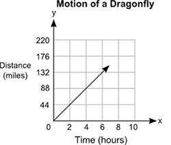 The graph below shows the distances, in miles, that a dragonfly can travel in a certain number of ho