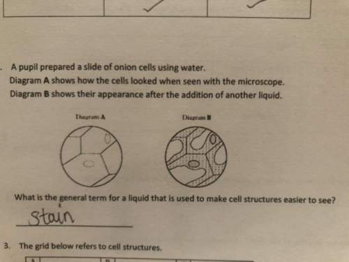 What is the general name for a liquid that is used to make cell structures under a microscope easier