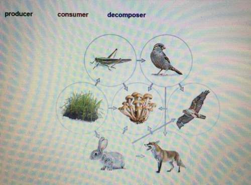 Label each organism in the food web as a producer, consumer, or decomposer. hope u can .