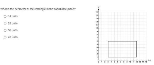 what is the perimeter of the rectangle in the coordinate plane?