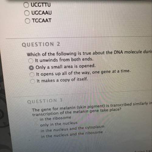 Which of the following is true about dna