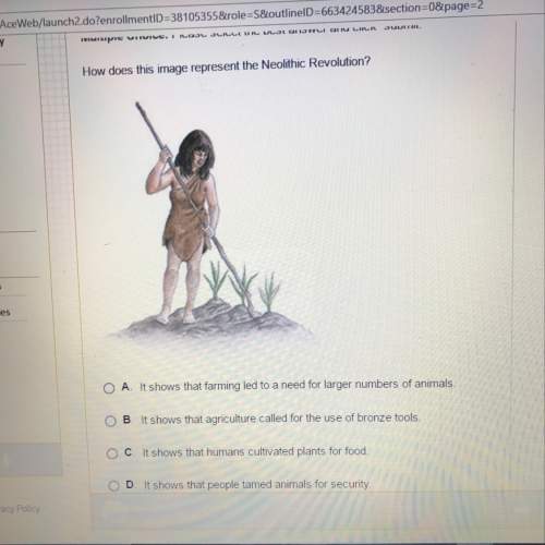 How does this image represent the neolithic revolution