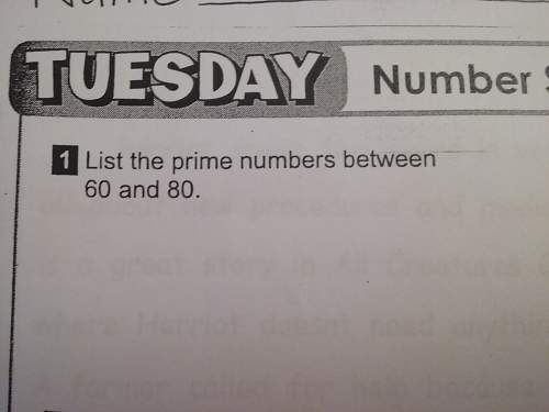 List the prime numbers between 60 and 80