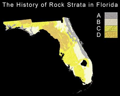 In the florida map shown below, use the principle of superposition to determine which rocks are youn