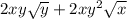 2xy\sqrt{y} + 2x {y}^{2}  \sqrt{x}