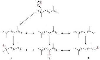 Draw the products obtained from the reaction of 1 equivalent of hbr with 1 equivalent of 2,5-dimethy
