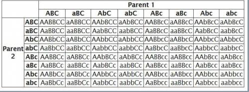 Suppose two aabbcc individuals are mated. assuming that the genes are not linked, what fraction of t