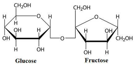 Which statement best describes the properties of sucrose?  a.  they are exactly like the properties