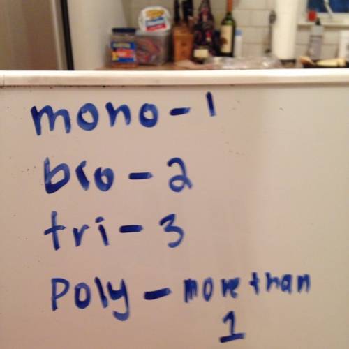 What is a monomial?  what is a binomial?  what is a trinomial?  what is a polynomial?