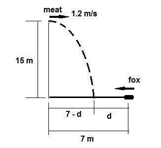 Afox is 7 meters from the base of a tree that is 15 m tall. a nest of owls is at the top of the tree