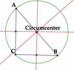 True or false?  the circumcenter of a triangle is the center of the only circle that can be circumsc