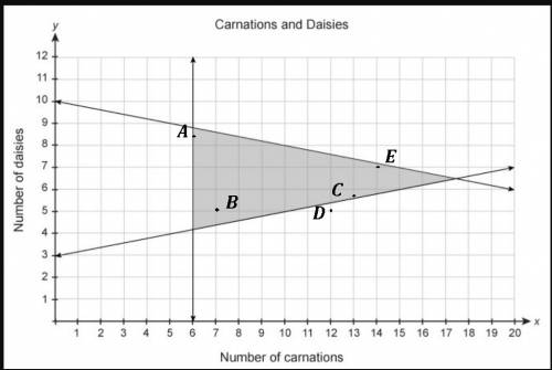 The triangular region shows the number of possible carnations, x, and the number of possible daisies
