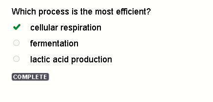 Which is the most efficient form of cellular respiration?  a. aerobic respiration b. anaerobic respi