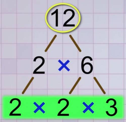What is the prime factorization of 12