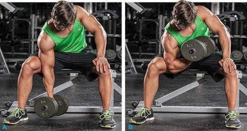 Match each exercise to its corresponding muscle. a. leg press b. leg raises c. bench press d. concen