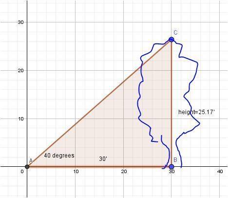 Angle of elevation is 40. if i’m 30 ft from base of a tree what is height of tree