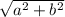 \sqrt{a^{2}+  b^{2} }
