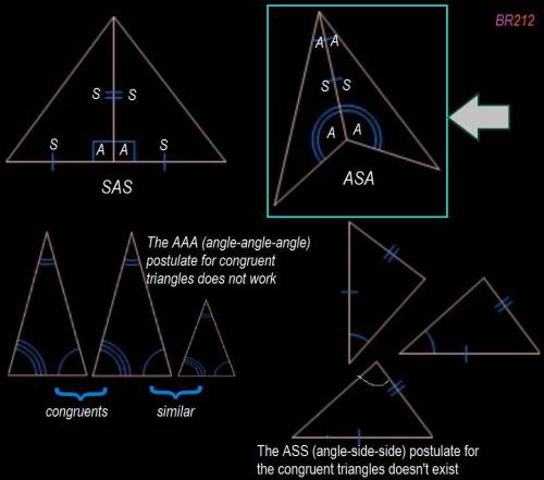 Which shows two triangles that are congruent by asa