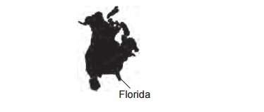 The map below shows the inferred shape of the north american landmass in the past. the location of f