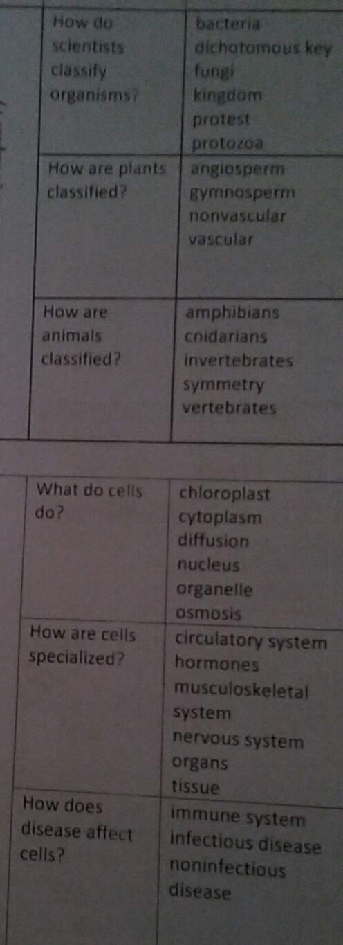 Due tomorrow can someone answer these questions using all the vocab words