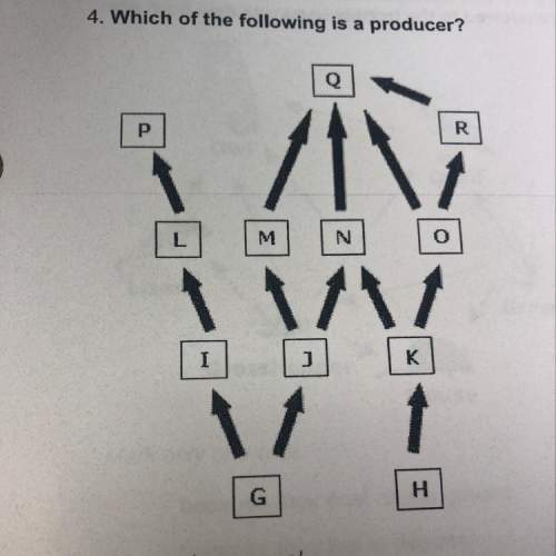 Which of the following is a producer