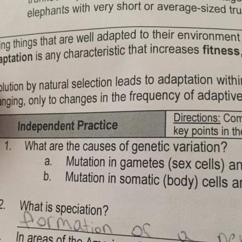 What are the causes of genetic variation