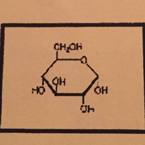 What kind of organic molecule is this?
