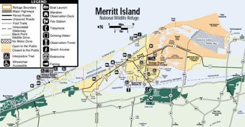 What are the major ecological threats to plants and animals within the merritt island national wildl