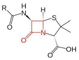 The biological function of penicillin stems primarily from the reactivity of which functional group