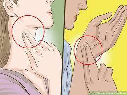 Where do you put your two fingers when checking your heart rate on your neck?