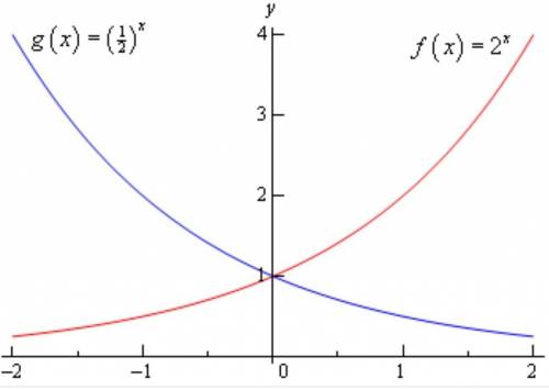 Why do exponential functions never cross the x axis?