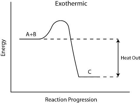 For an exothermic reaction, what would the potential energy diagram most likely look like?