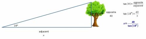 If the angle of elevation to the top of a tree is 18° and the tree's height is 40 feet, how far are