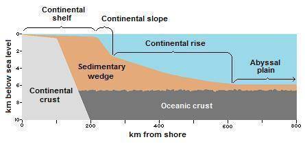 The gently sloping submerged surface that extends from the shoreline toward the ocean basin floor is
