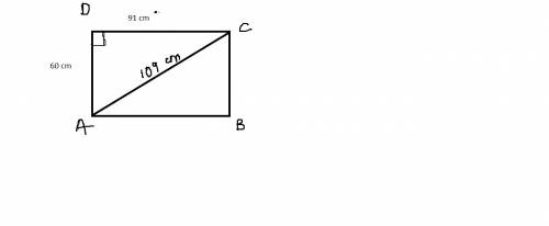 The lengths of the sides of a rectangle are 60cm and 91cm. what is the length of a diagonal?
