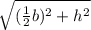 \sqrt{(\frac{1}{2}b)^{2}+h^{2}}