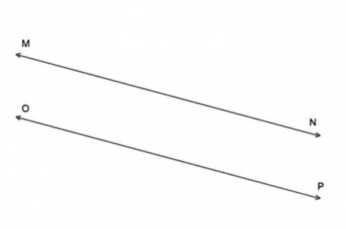 Explain the difference between parallel lines and perpendicular lines