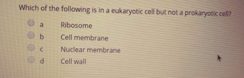 Which of the following is a eukaryotic cell but not a prokaryotic cell