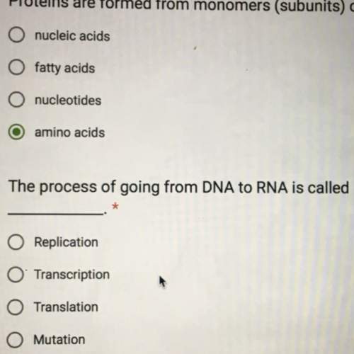 What is the process of going from dna to rna called