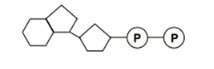 What is this molecule: a. amp b. adp c. atp