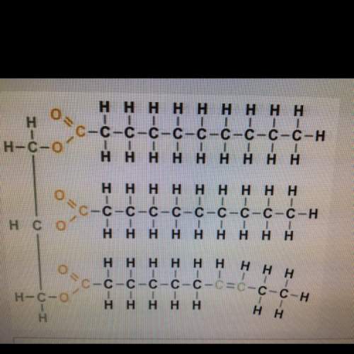 What type of molecule is represented by the model below?