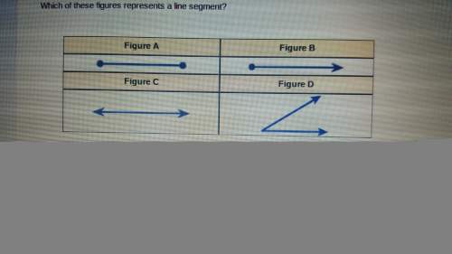 Which of these figures represents a line segment?